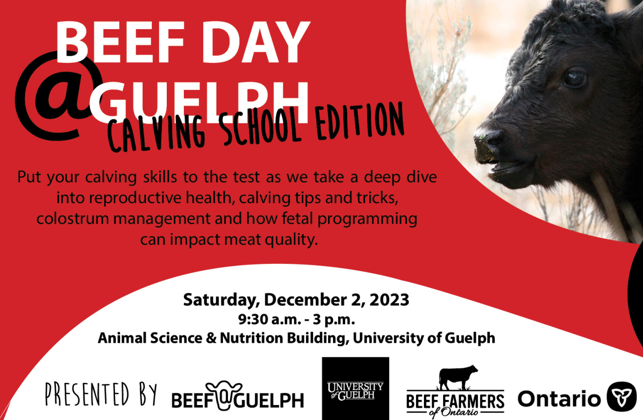 University of Guelph Events