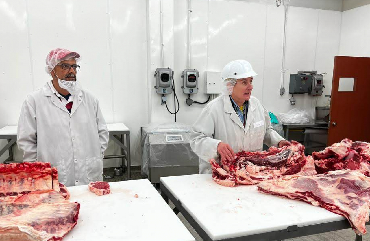 Abattoir staff Gino and Judy teaching about the various cuts of beef